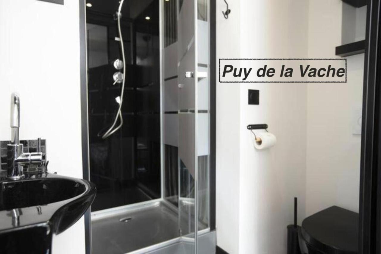 Logements Chaine Des Puys Avec Garages Attenants 클레르몽페랑 외부 사진